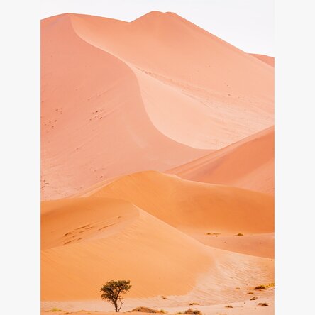 Poster „Dunes“