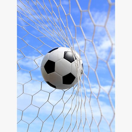 Poster „Ball im Fußballtor“