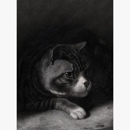 Poster von William Gil, „Die wachsame Katze, die durch die Schatten blickt“, 1855