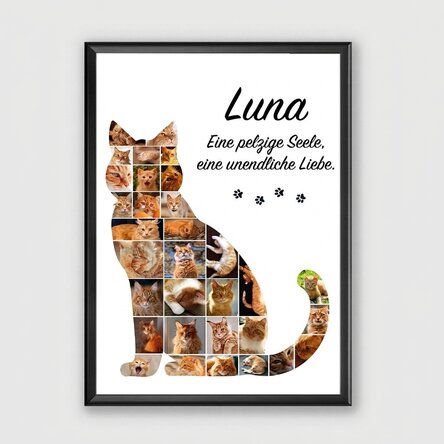 Individuell gestaltetes Bild mit 32 Fotos und Text – Katze