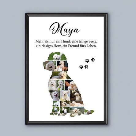 Individuell gestaltetes Bild mit 19 Fotos und Text – Kleiner Hund