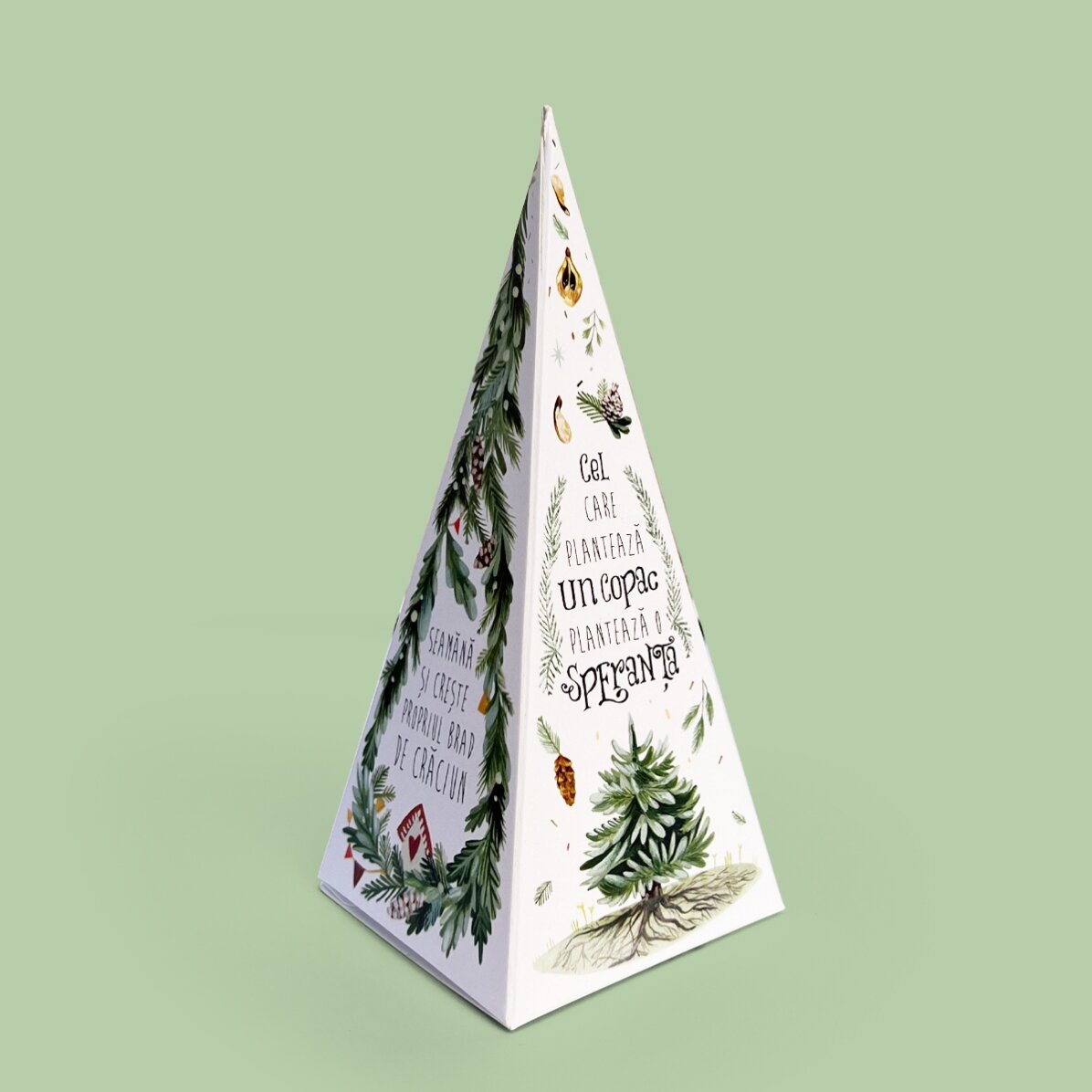 Individuell gestaltetes Tannenbaum-Pflanzset mit Logo und Botschaft