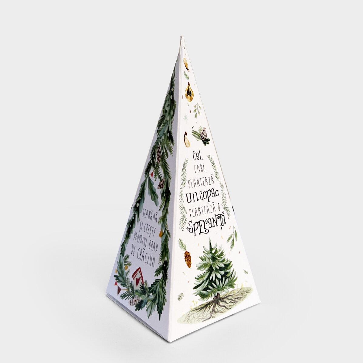 Individuell gestaltetes Tannenbaum-Pflanzset mit Monogramm