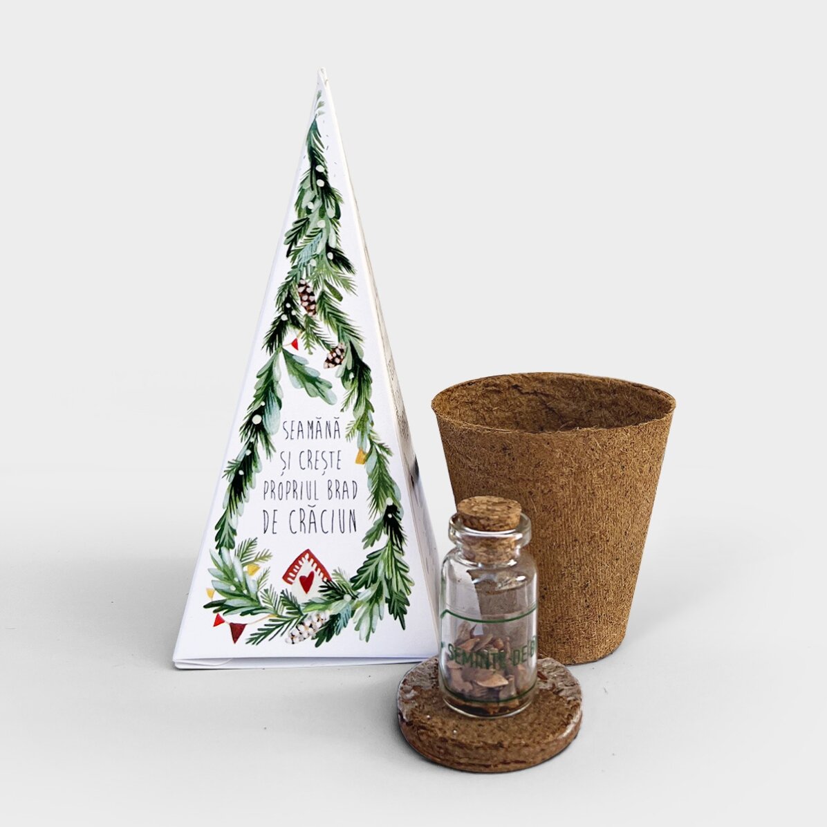 Individuell gestaltetes Tannenbaum-Pflanzset mit Foto und Botschaft – Schneeflocken