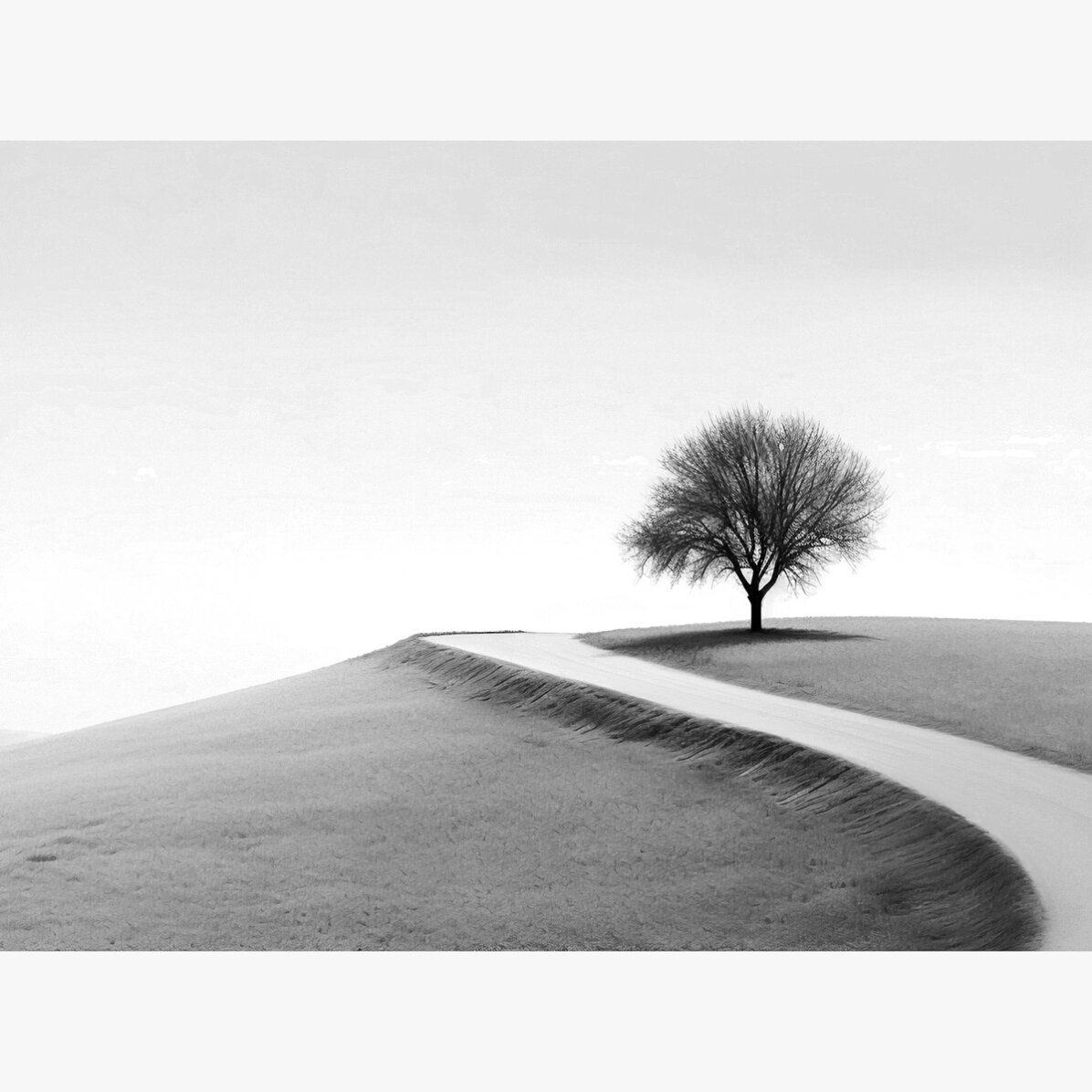 Poster im Querformat – Der einsame Baum