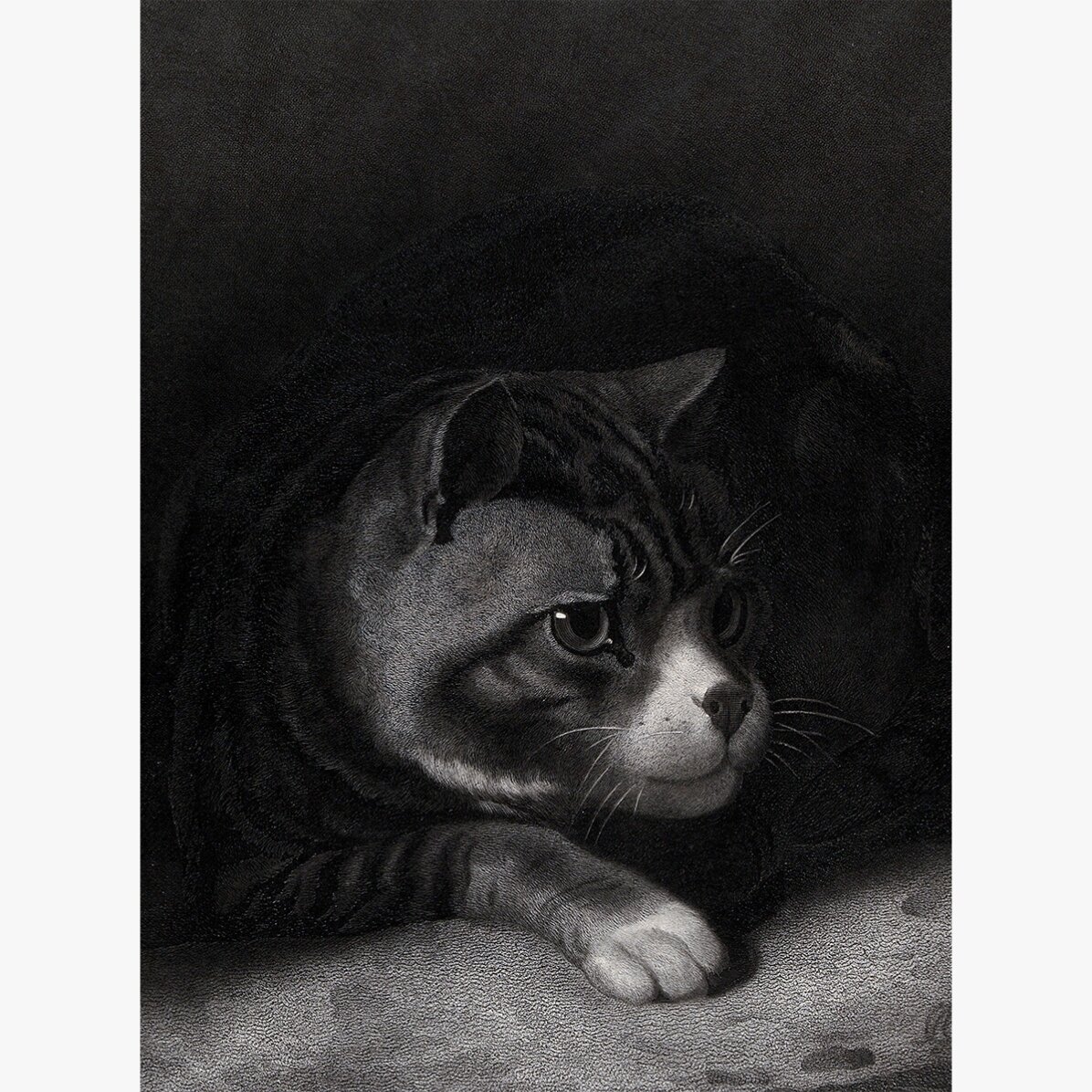 Poster von William Gil, „Die wachsame Katze, die durch die Schatten blickt“, 1855