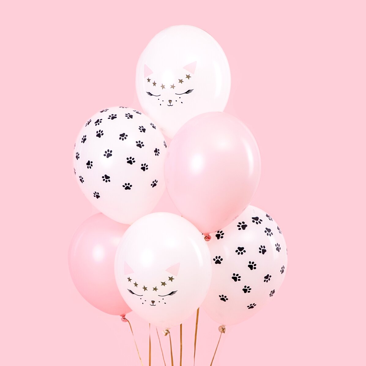 6er-Set Luftballons, gemischt – Kätzchen