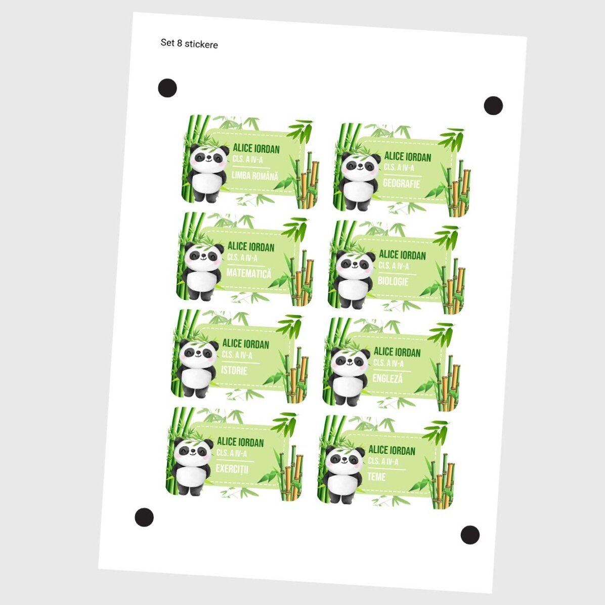 Set mit 8 personalisierten Aufklebern (selbstklebende Etiketten) für die Schule – Cute Panda