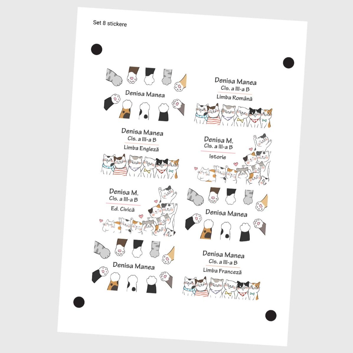 Set mit 8 personalisierten Aufklebern (selbstklebende Etiketten) für die Schule – Kitty