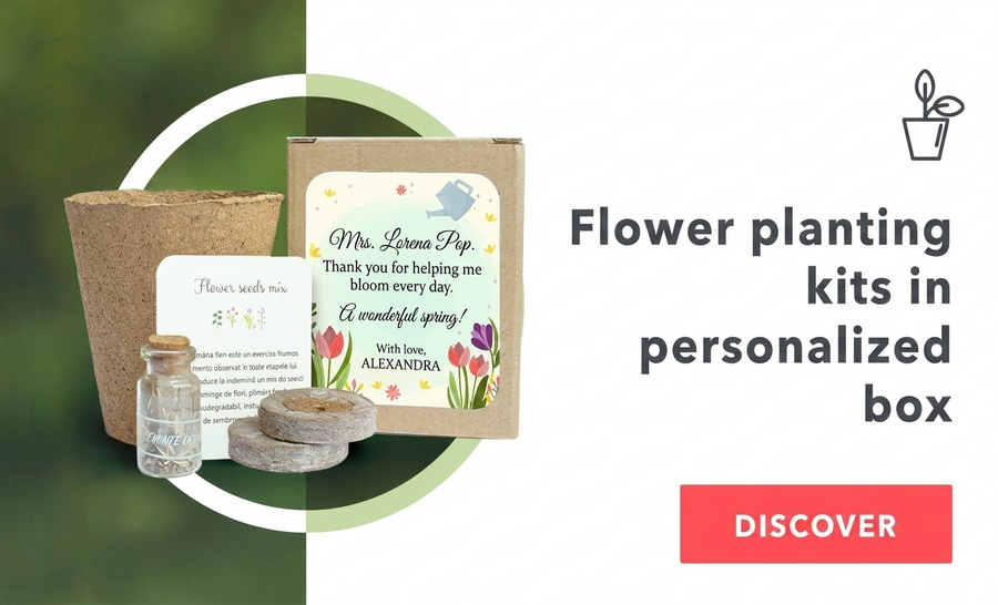 Blumenpflanz-Sets in personalisierten Schachteln