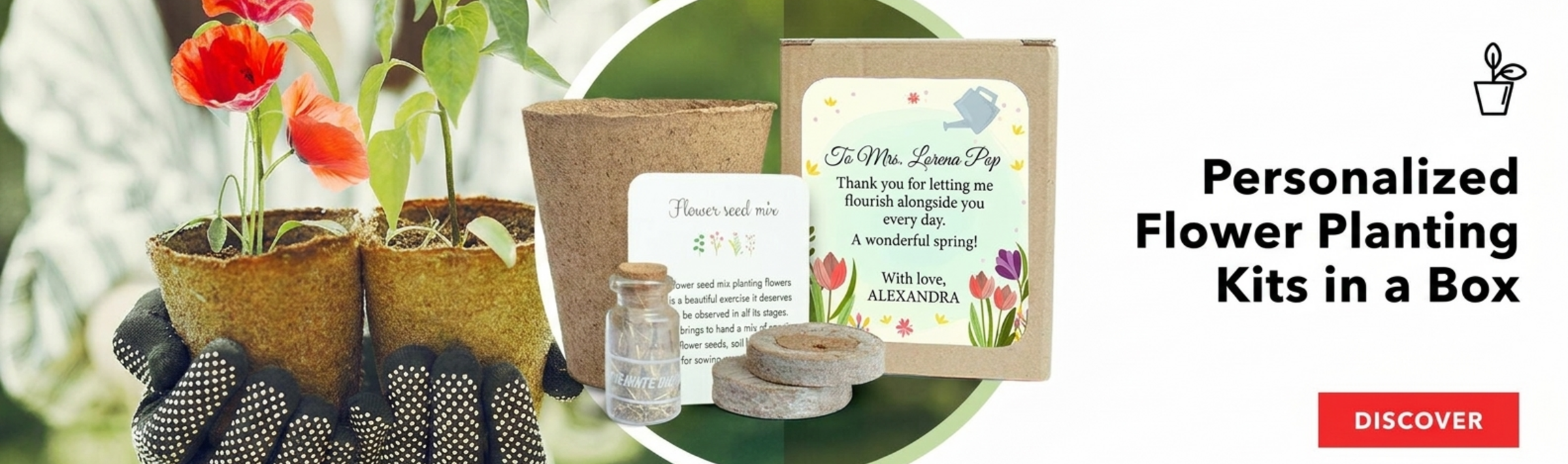 Blumenpflanz-Sets in personalisierten Schachteln