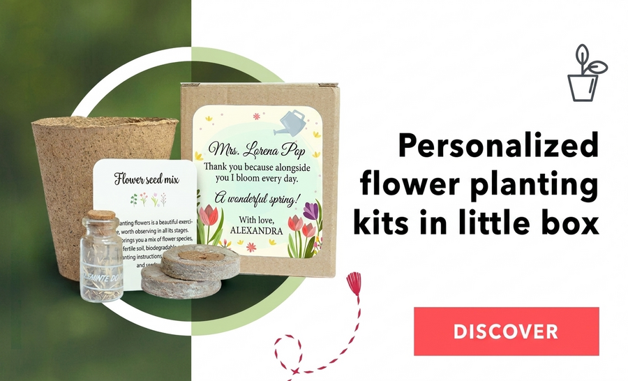Blumenpflanz-Sets in personalisierten Schachteln