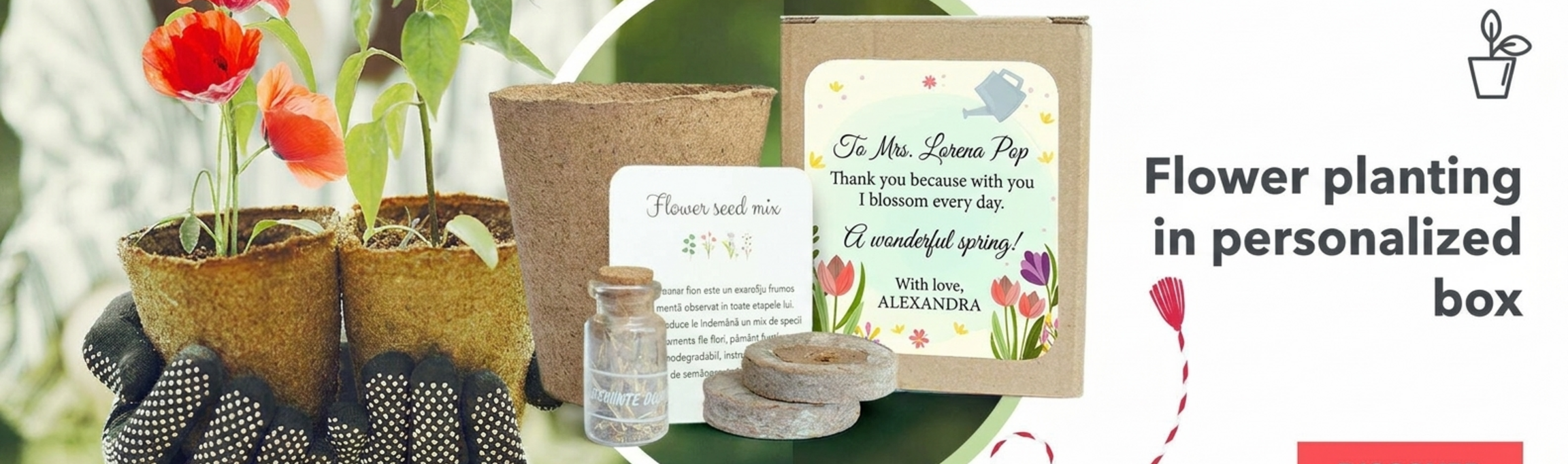 Blumenpflanz-Sets in personalisierten Schachteln