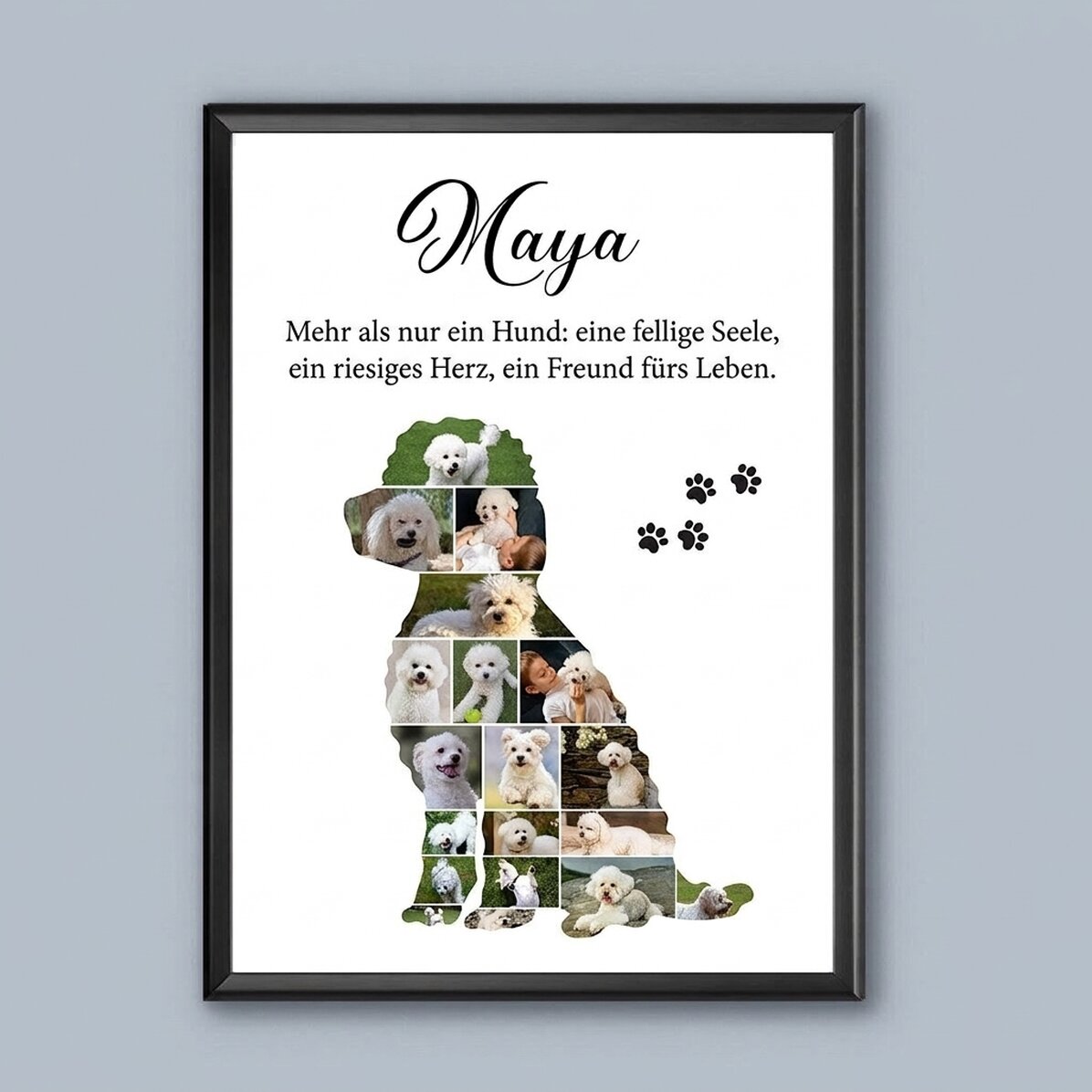 Individuell gestaltetes Bild mit 19 Fotos und Text – Kleiner Hund